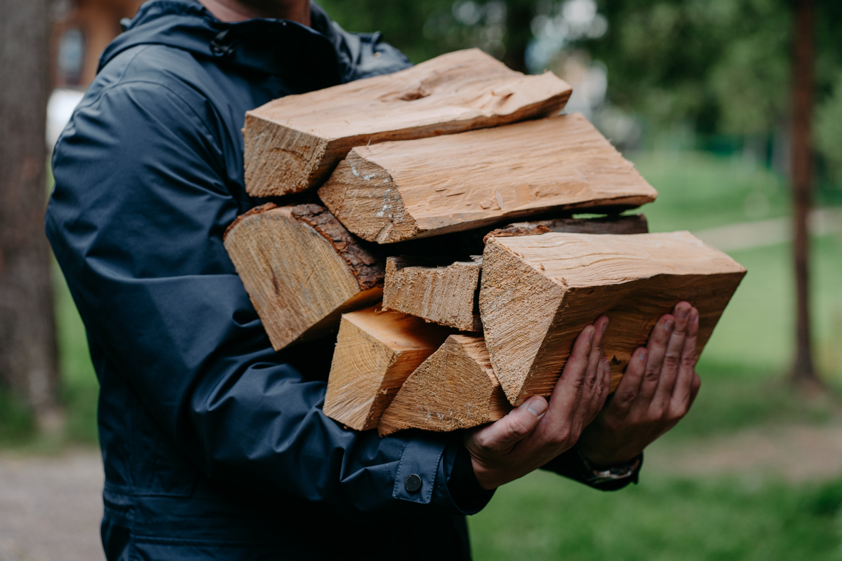 consommation de bois