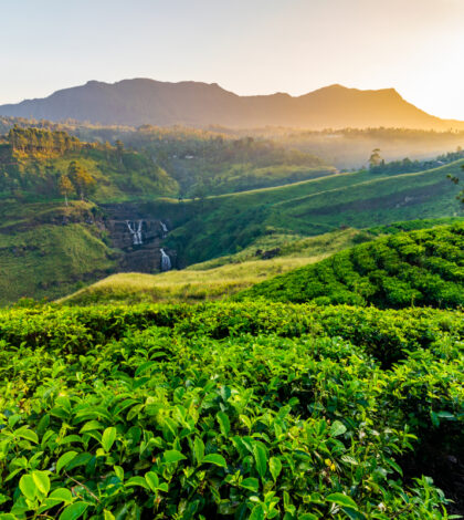 voyage Sri Lanka